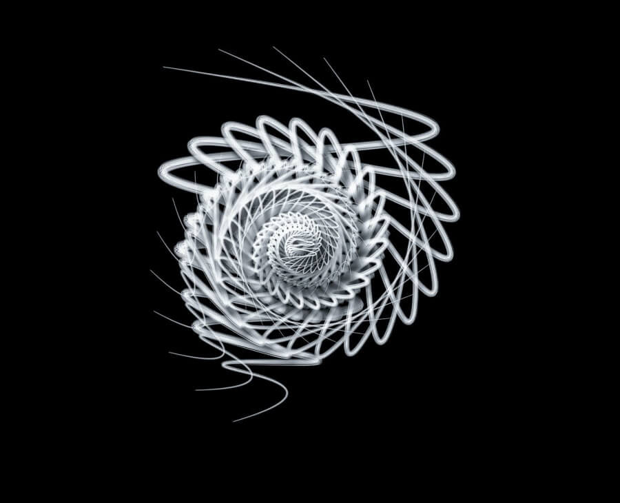 Başarı Yolunda Altın Kurallar