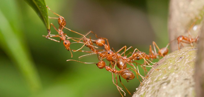 Dini Sohbeti Chat Siteleri Dini Sohbeti Chat Siteleri